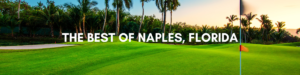 The best of Naples, Florda